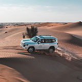 desert safari .jpeg