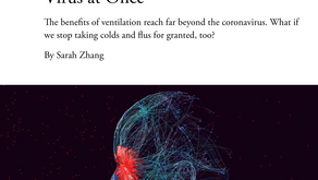The Plan to Stop Every Respiratory Virus at Once