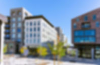 DSC_6674-Pano copy.jpg