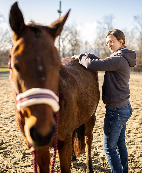 Mensch und Pferd während Bowen Griff