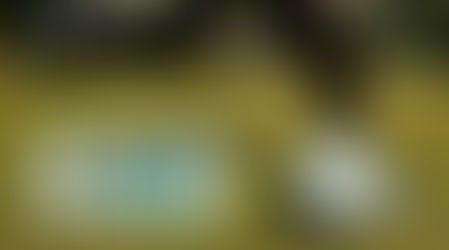 RMED Updates Community Guidelines
