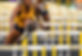 hurdles_edited.jpg