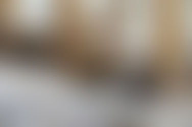 Explore the Galapagos: Your Ultimate 7-Day Adventure Awaits with Ecuador Expat Journeys