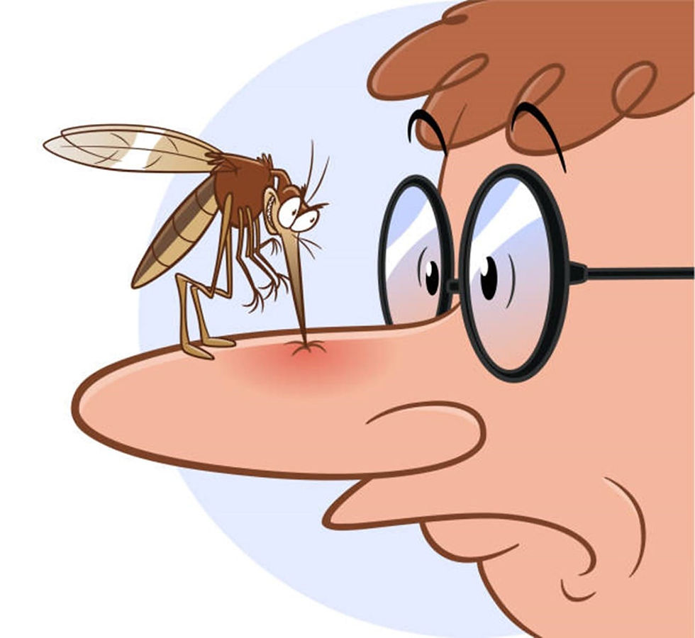 Dessin humoristique d'un moustique posé sur le nez d'un homme