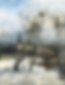 Les Impressionnistes Russes