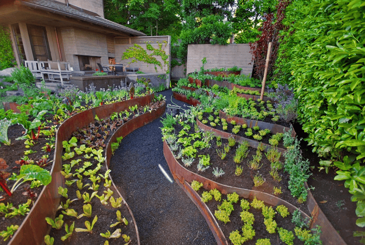 jardin potager bien tenu