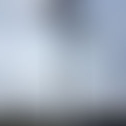 Still Standing Trees 立ち尽くす木