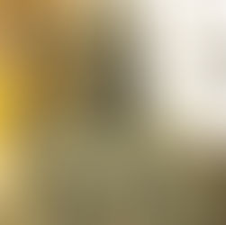 Choosing to not live with hate