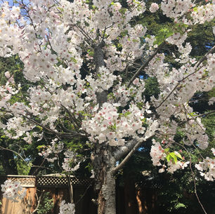 Appreciating her last hurrah