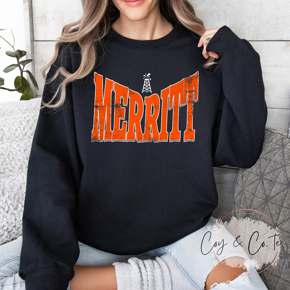 Thumbnail: Merritt Toddler/Youth V Distressed Tee