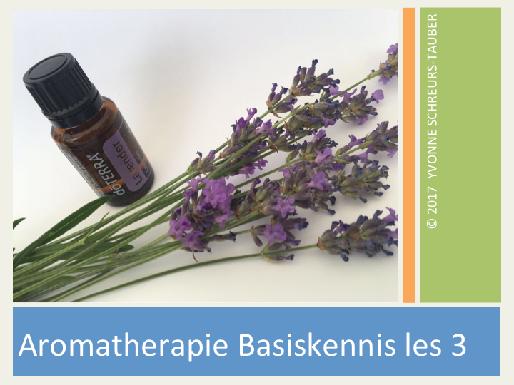 boekje in beeld over aromatherapie met een flesje lavendelolie