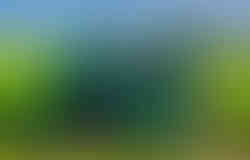 Duży traktor na akumulator z przyczepą i pilotem – zabawka rolnik