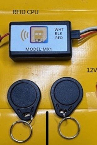 new frid final 1_edited.jpg