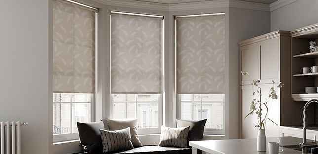 ROLLER WINDOW BLINDS