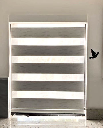 ZEBAR WINDOW BLINDS