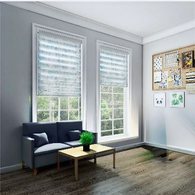 ZEBRA WINDOW BLINDS