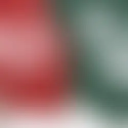 😂🤣Funny Holiday Couples Tees