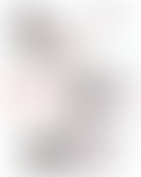 ✨DSW: Deal of the Day on adidas✨