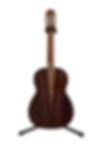 Guitarra de palo escrito