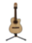 Requinto de Palo Escrito