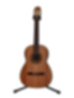 Guitarra de palo escrito