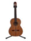 Guitarra Cedro Fina