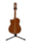 Requinto de Palo Escrito