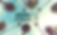 INROADS season 8F 1728x1080.png