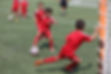 benfica more 6.jpg