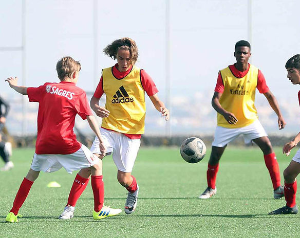 benfica stock camp2.jpg