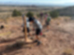 Mesa Monument Striders & CCA Trail Work in McInnis Canyons NCA