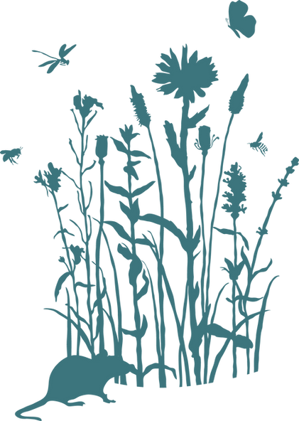 inv-biodiversità.png