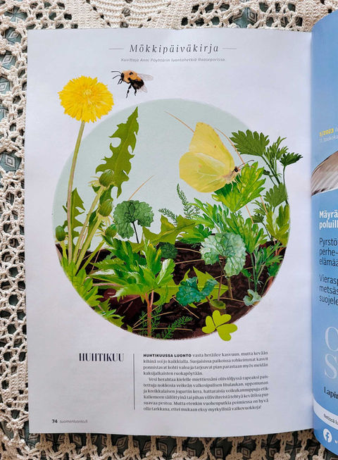 digital illustrations, kuvittaja, nature illustrations, Suomen Luonto, Anni Pöyhtäri, Frisko Design