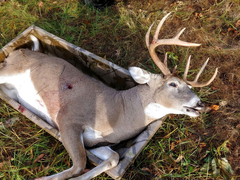 R10 9 point buck