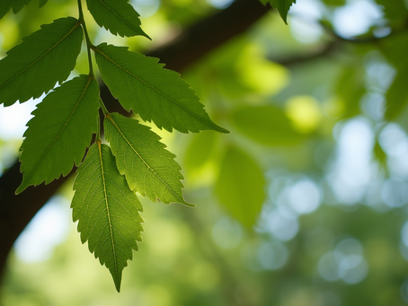 How Tree Care Enhances Landscape Restoration Projects