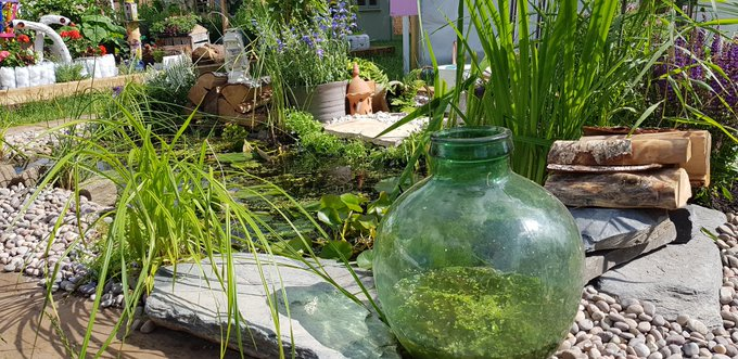 Botanical garden plants picture