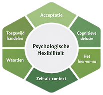 Hexaflex zonder achtergrond.png