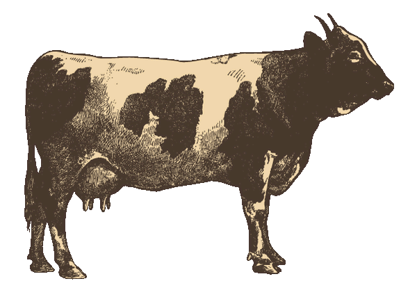 logo vache.gif