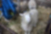 RS_26014_web.jpg