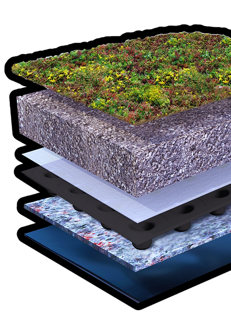 Extenzív zöldtető rétegrendje, sedum növényzettel