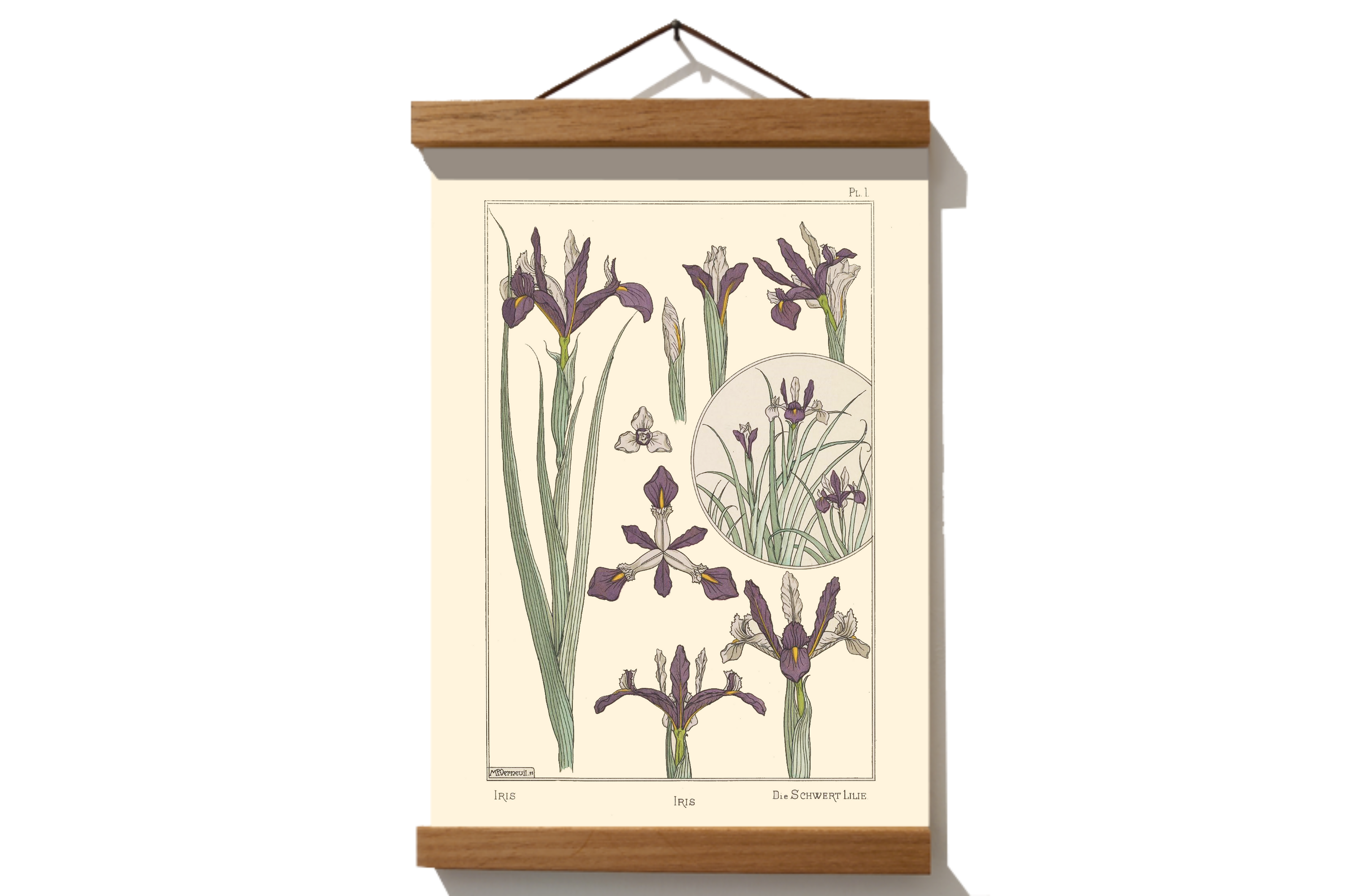 פוסטר עם קליפס לתלייה מעץ.
בסגנון אר-נובו לעיצוב הבית במגוון גדלים