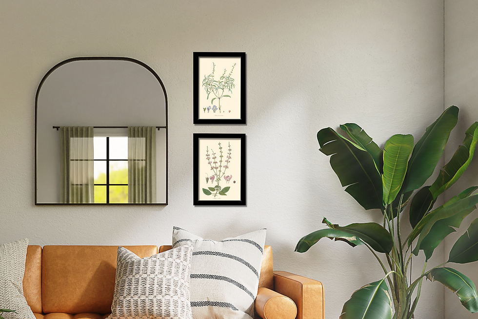 תמונה ממוזערת: תמונה ממוסגרת - Solage