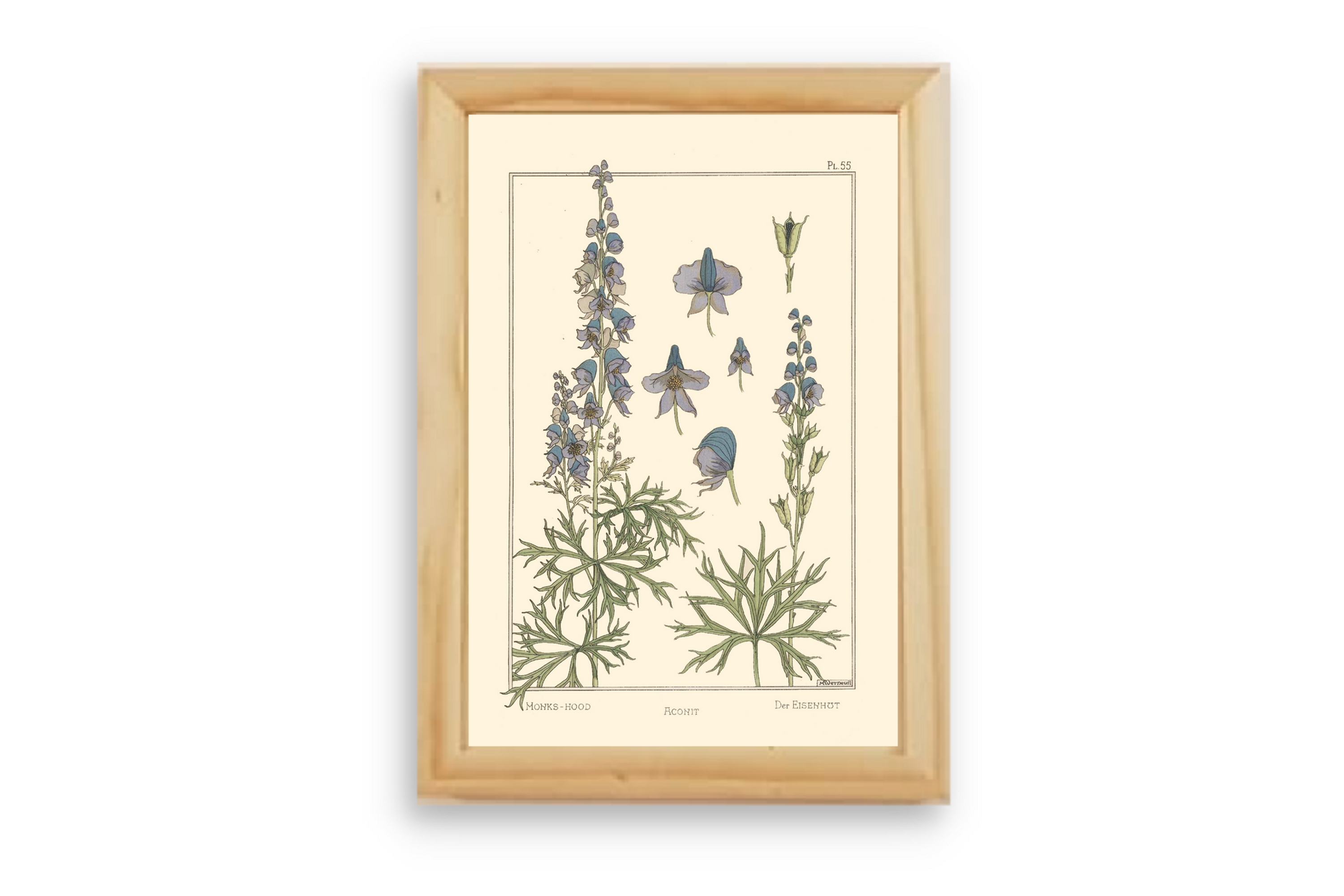 תמונה ממוסגרת לעיצוב הבית 
 בסגנון אר-נובו - סגנון ציור צרפתי שהתפתח בסוף המאה ה19 ולקחה השראה מאוד גדולה מהטבע.
התמונות מאוד מתאימות לחללים כמו סטודיו, סלון או חדר השינה