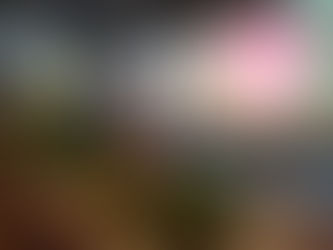 Da horta para o prato (de sopa)