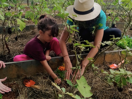 Pé de Feijão no Festival Cult.ive