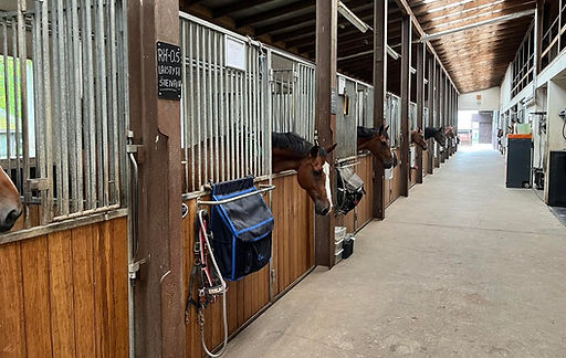 gardai žirgams iš vidaus