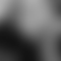 VentureGarden Interview