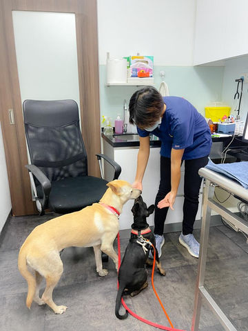 Dr Xutian Liang in her clinic 