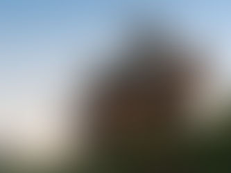 Doarchiwow Redefines Prefabricated Architecture with the Forest Nests Treepod Project in China