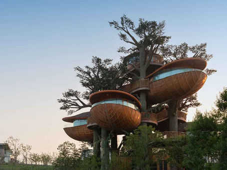 Doarchiwow Redefines Prefabricated Architecture with the Forest Nests Treepod Project in China